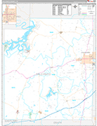 Palo Pinto Wall Map Premium Style